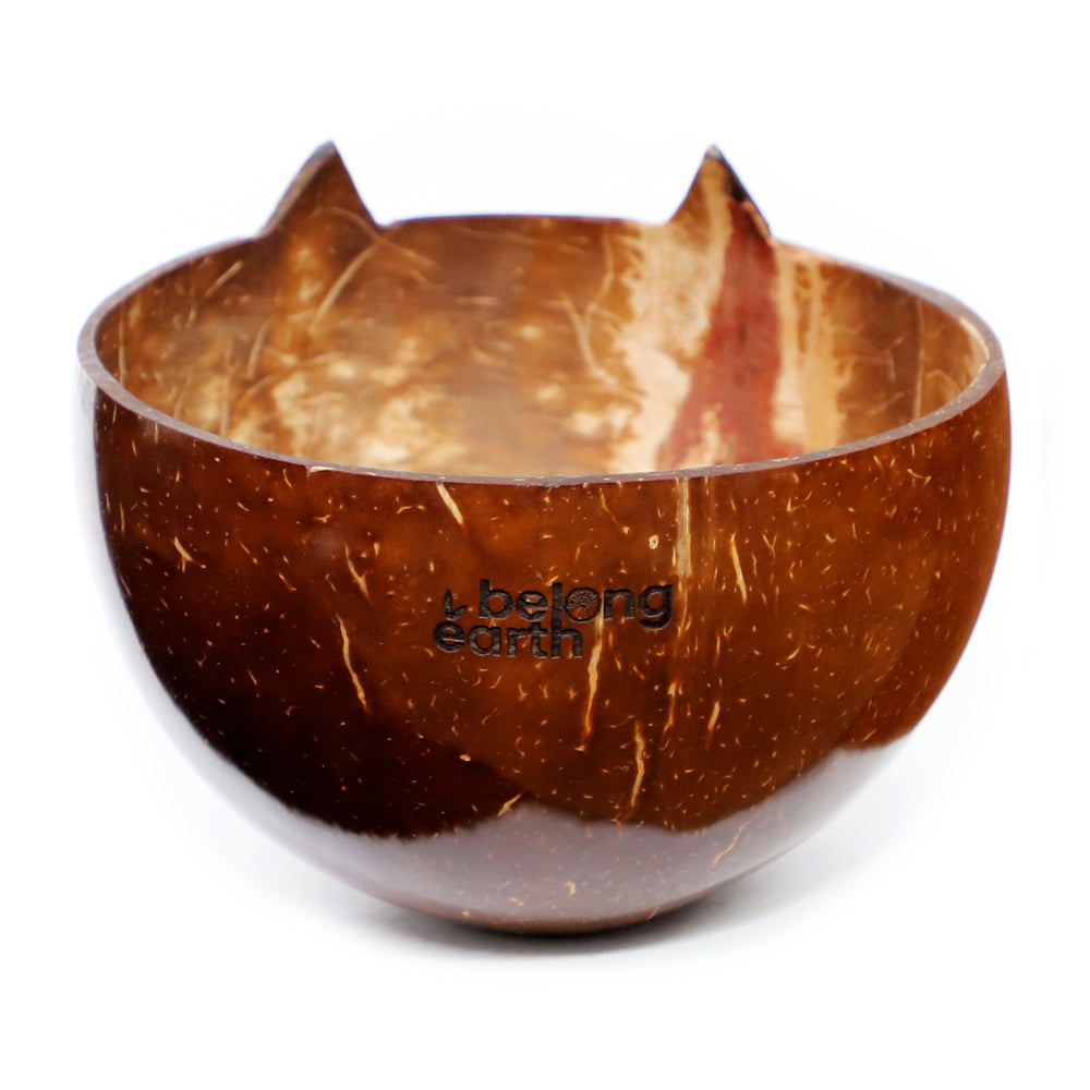 Cat Bowl