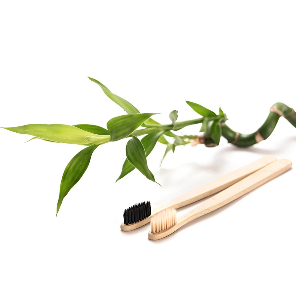 Bamboo Toothbrush