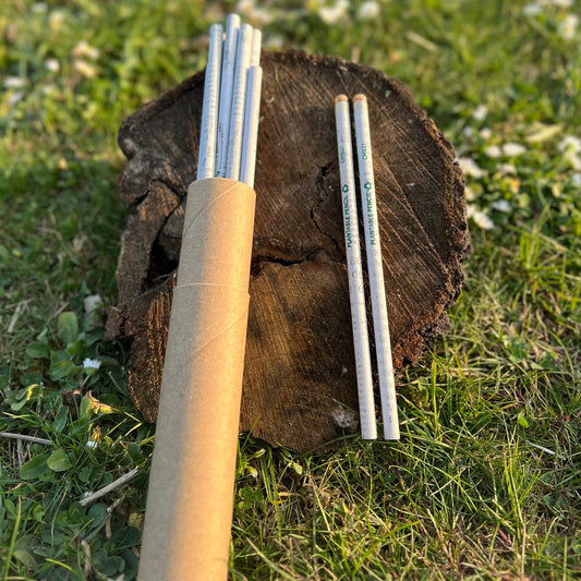 Plantable Pencils | Set of 10 Recycled Paper Seed Pencils With Reusable Cardboard Tube