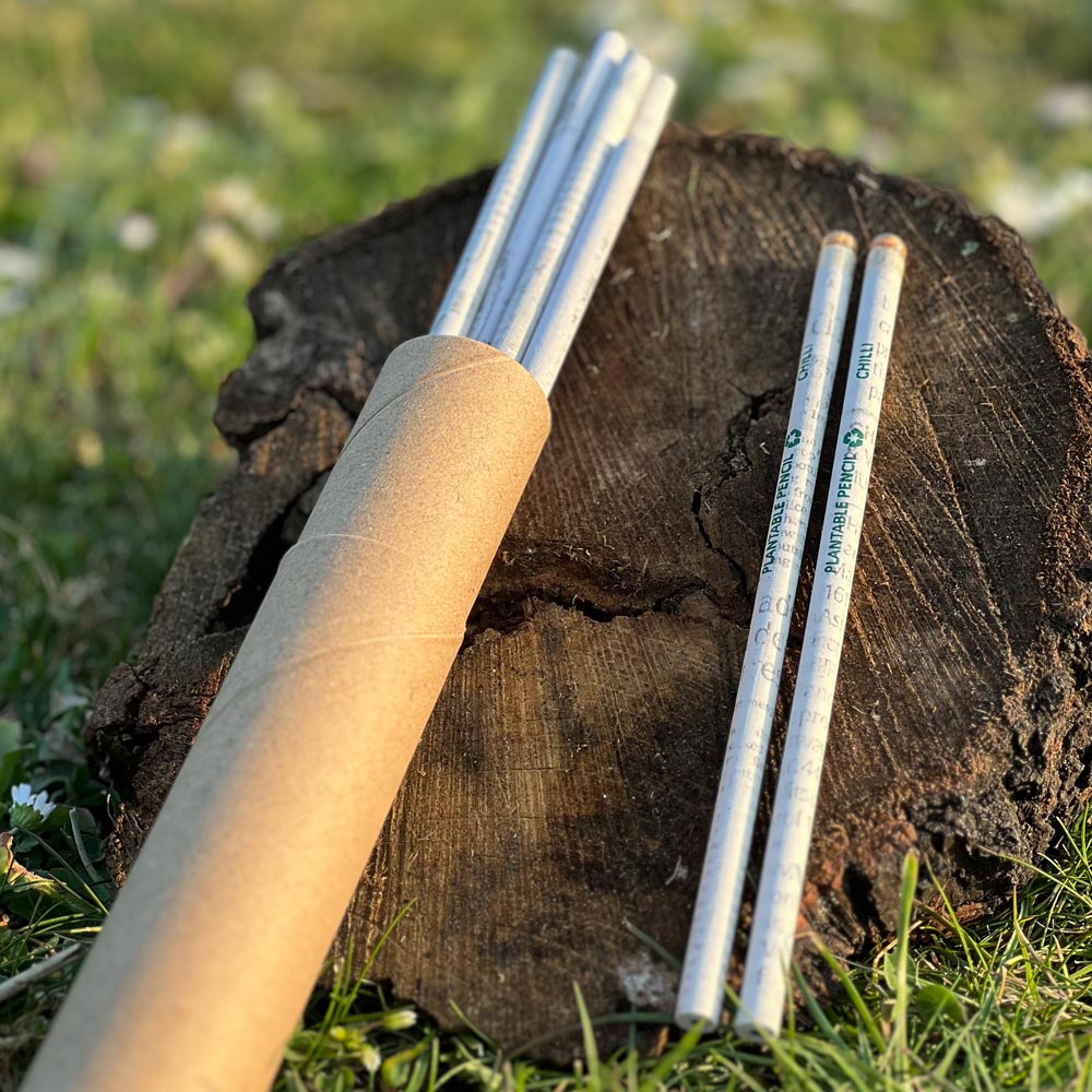 Plantable Pencils | Set of 10 Recycled Paper Seed Pencils With Reusable Cardboard Tube