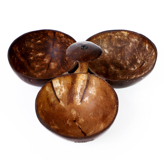 3 Bowl Set + 3 Spoons