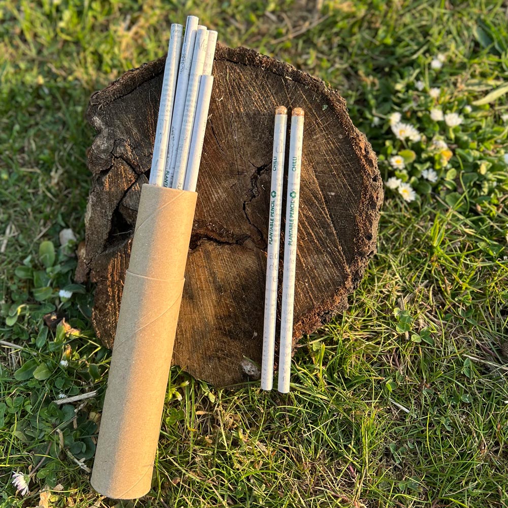 Plantable Pencils | Set of 10 Recycled Paper Seed Pencils With Reusable Cardboard Tube