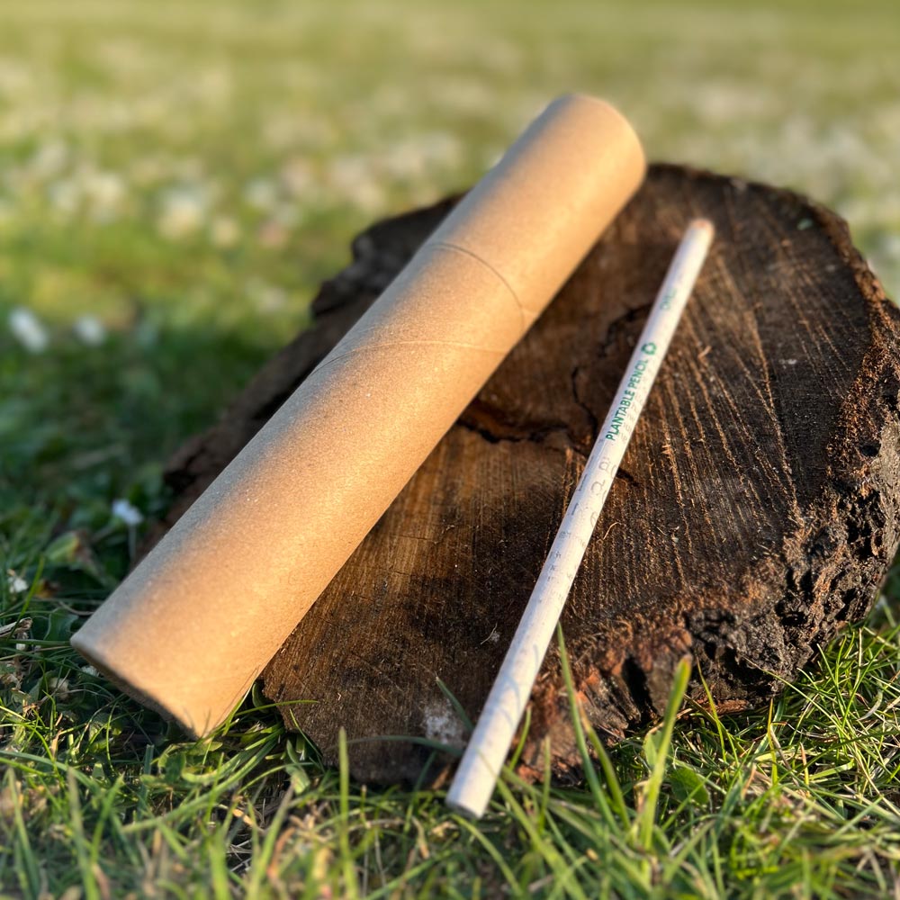 Plantable Pencils | Set of 10 Recycled Paper Seed Pencils With Reusable Cardboard Tube