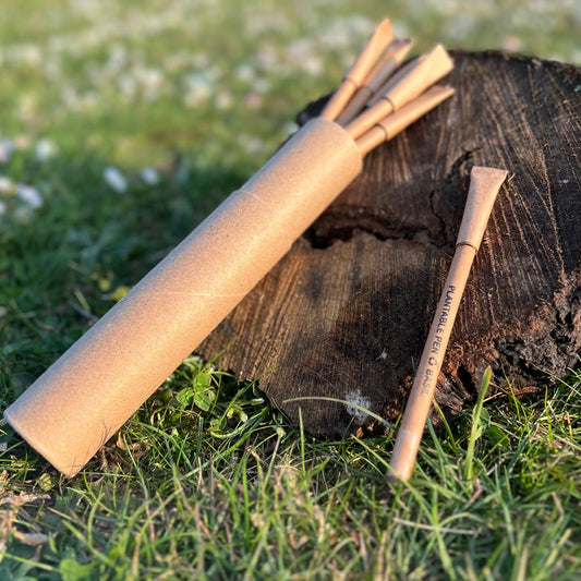 Eco Friendly Pen | Sustainable Wooden Pen