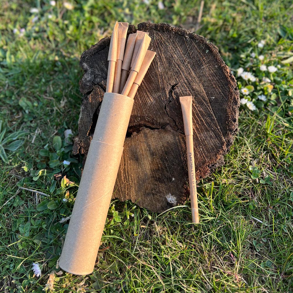 Eco Friendly Pen | Sustainable Wooden Pen