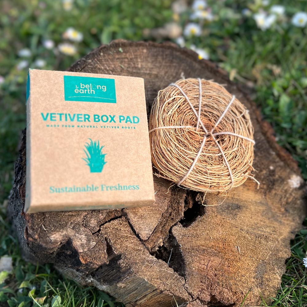 Vetiver Box Pad