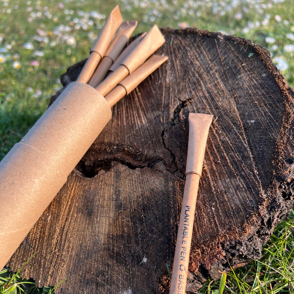 Eco Friendly Pen | Sustainable Wooden Pen