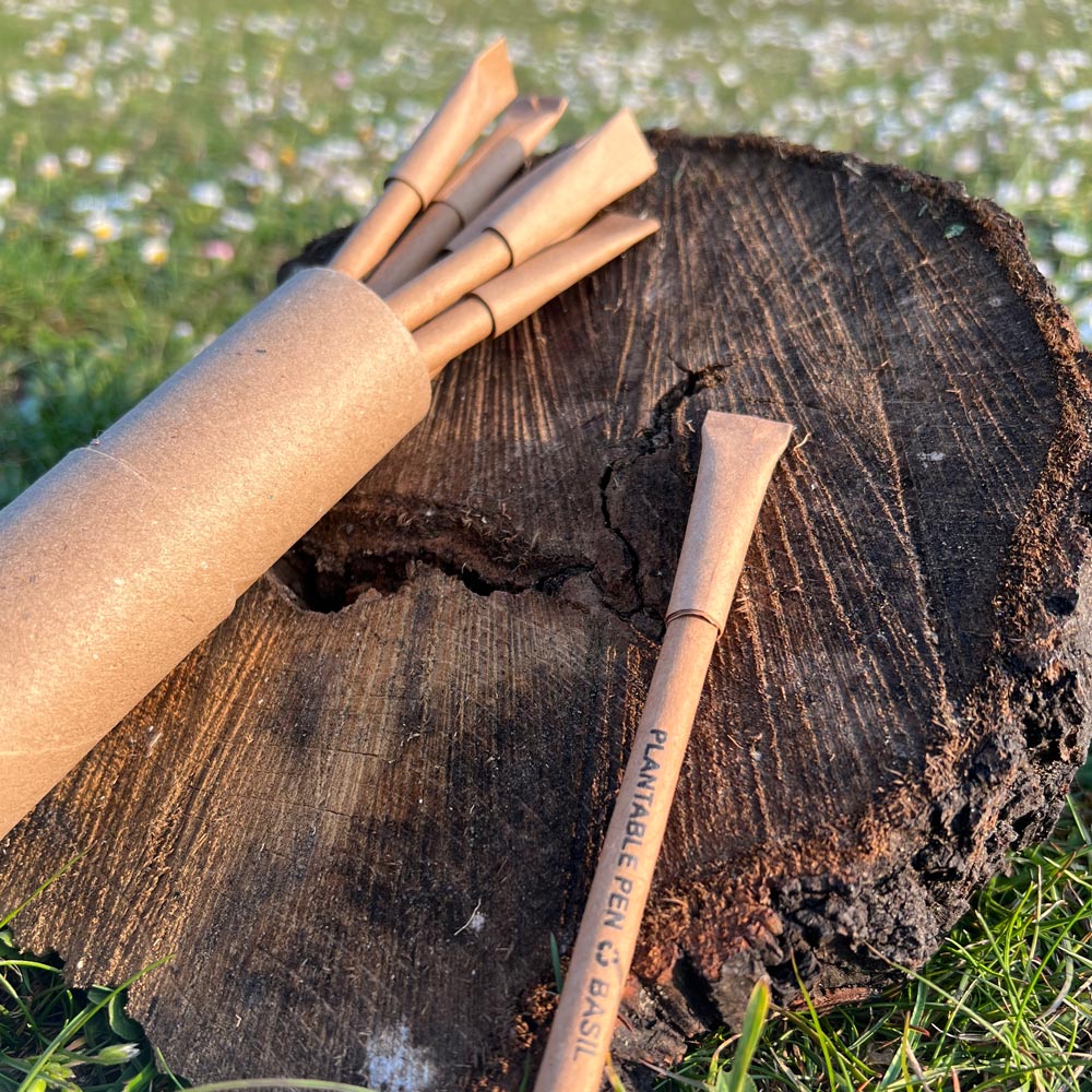 Eco Friendly Pen | Sustainable Wooden Pen
